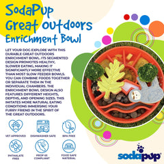 Slow Feeder Dog Bowl