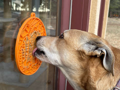 Enrichment Lick Mat For Dogs and Cats