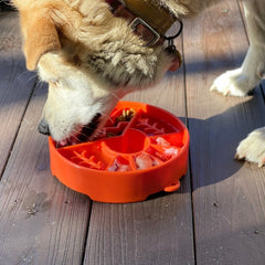 Slow Feeder Dog Bowl