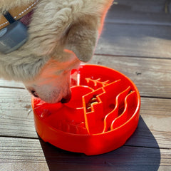 Slow Feeder Dog Bowl